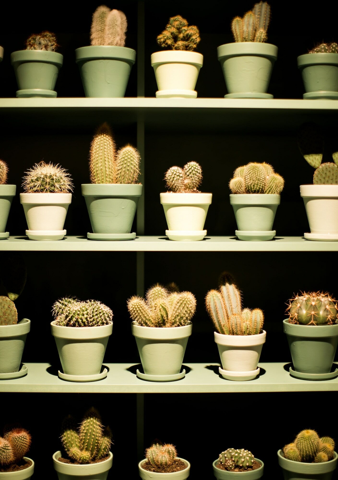 Фото Comfort Hotel Kista