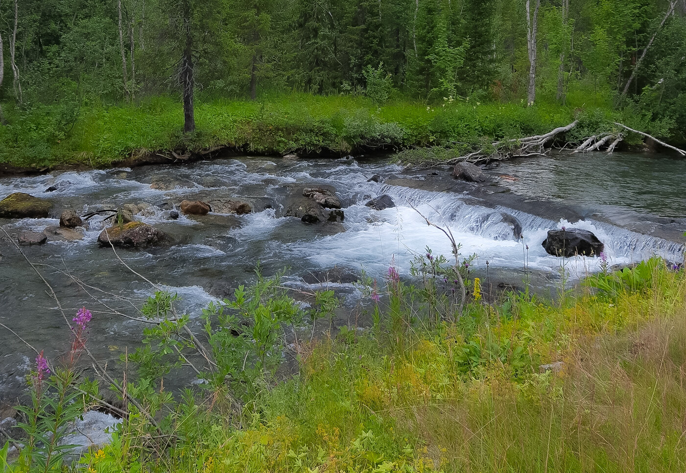 Фото Тирвас