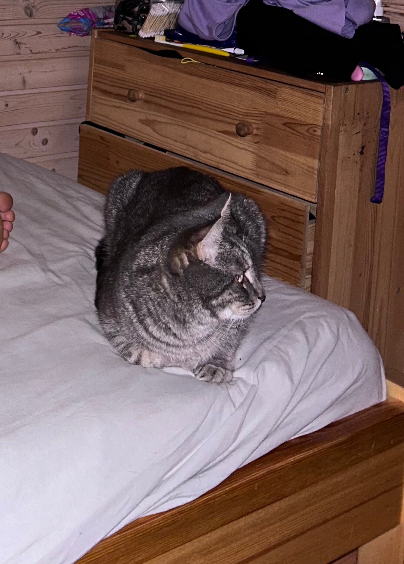 Фото Ладожский причал