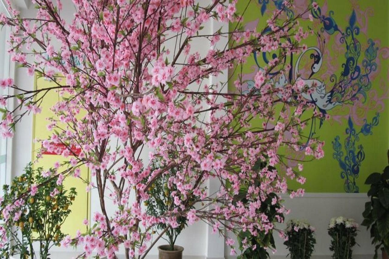 Фото Phoenix Hotel