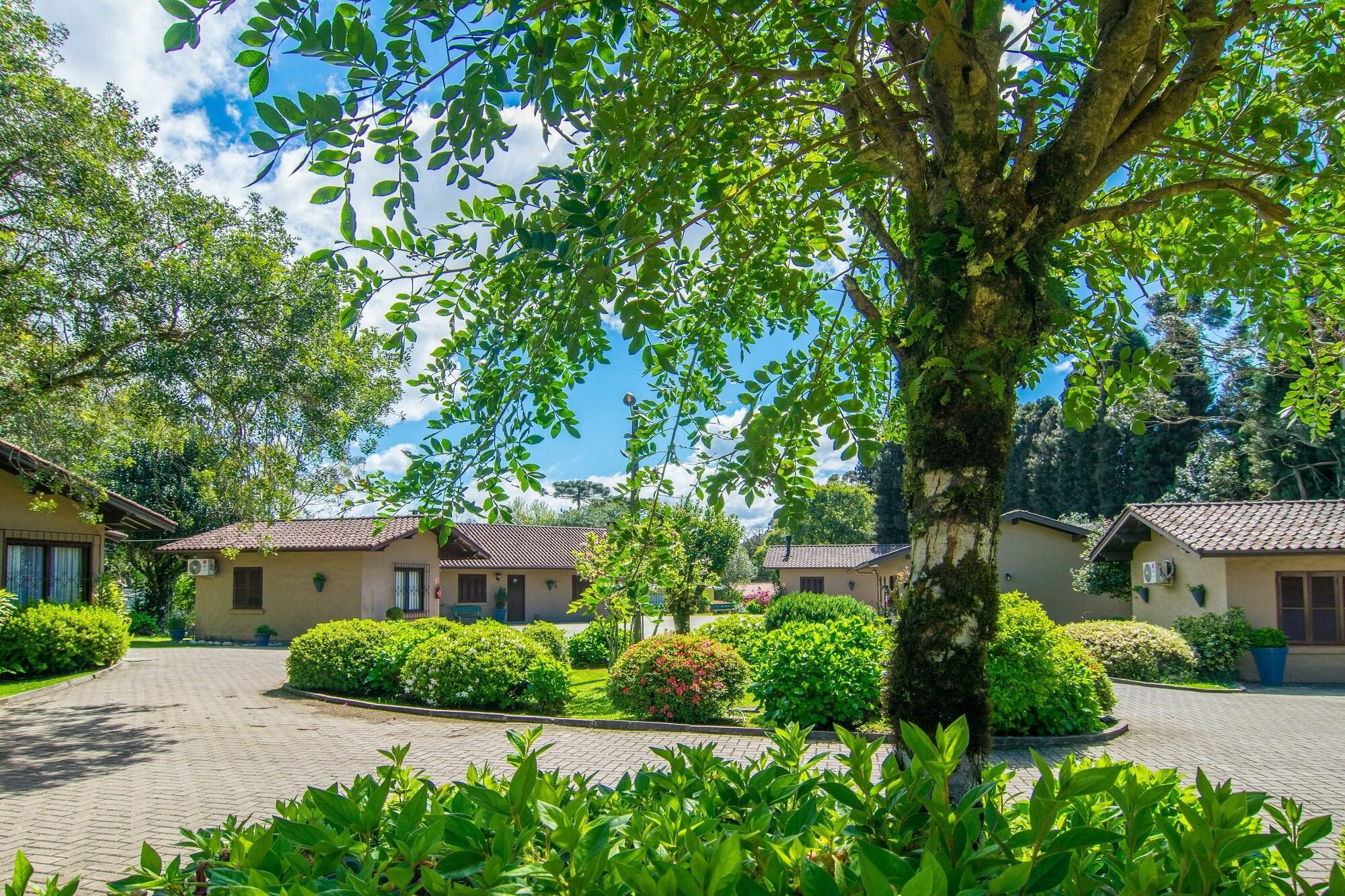 Фото Hotel Fioreze Quero Quero