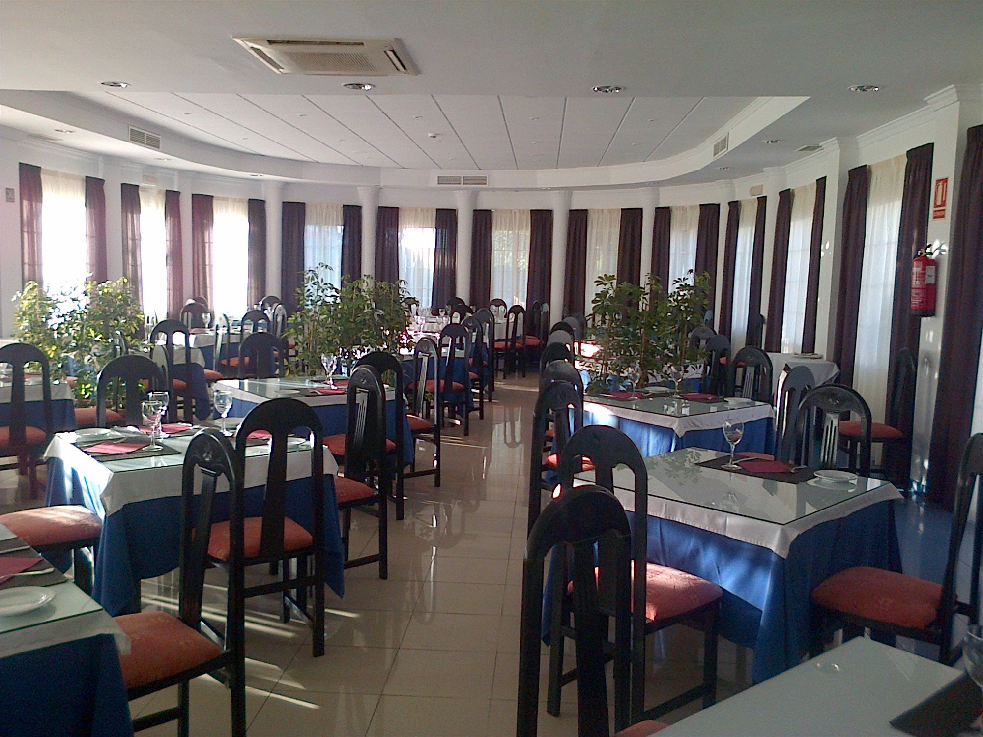 Фото Hotel Mitra
