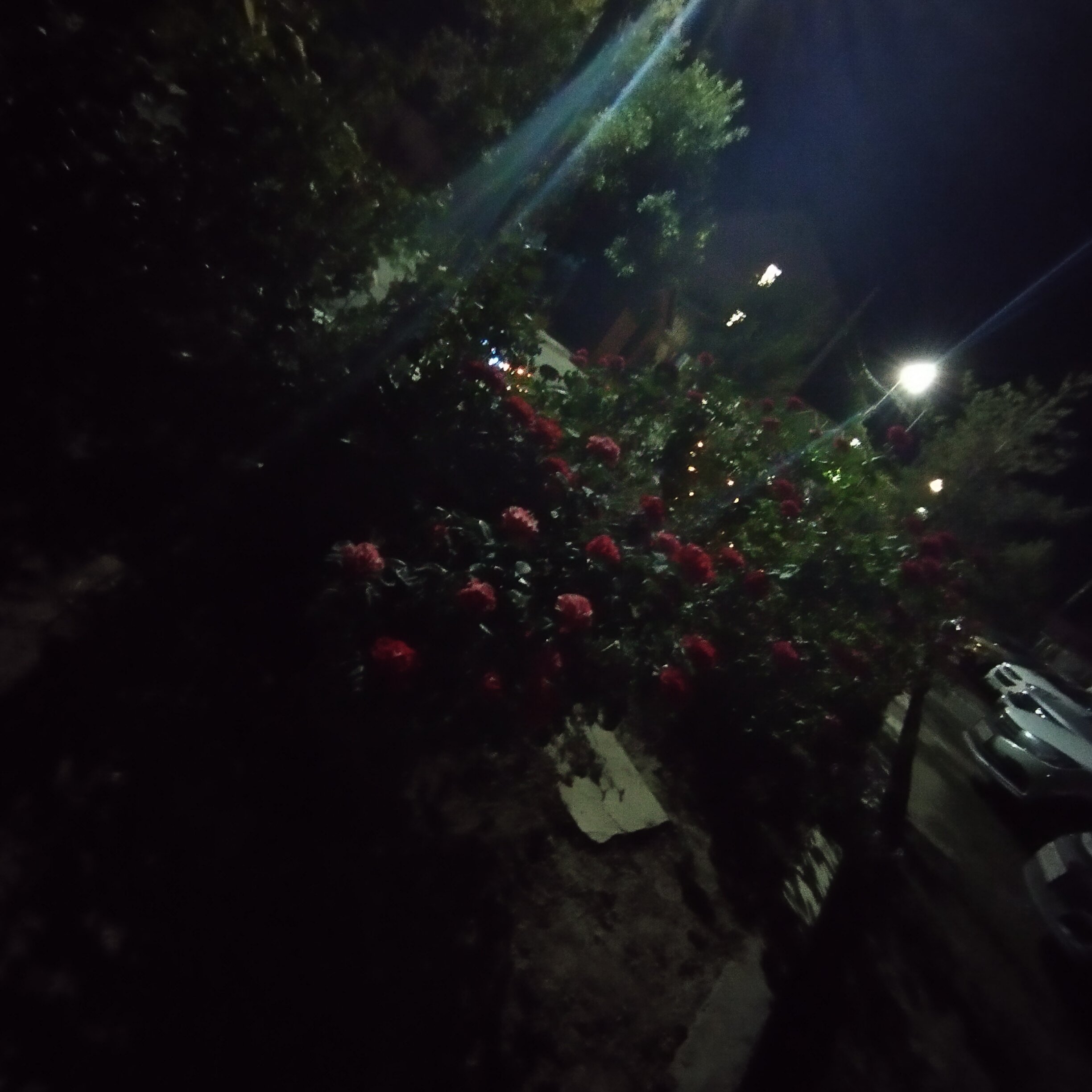 Фото Прометей