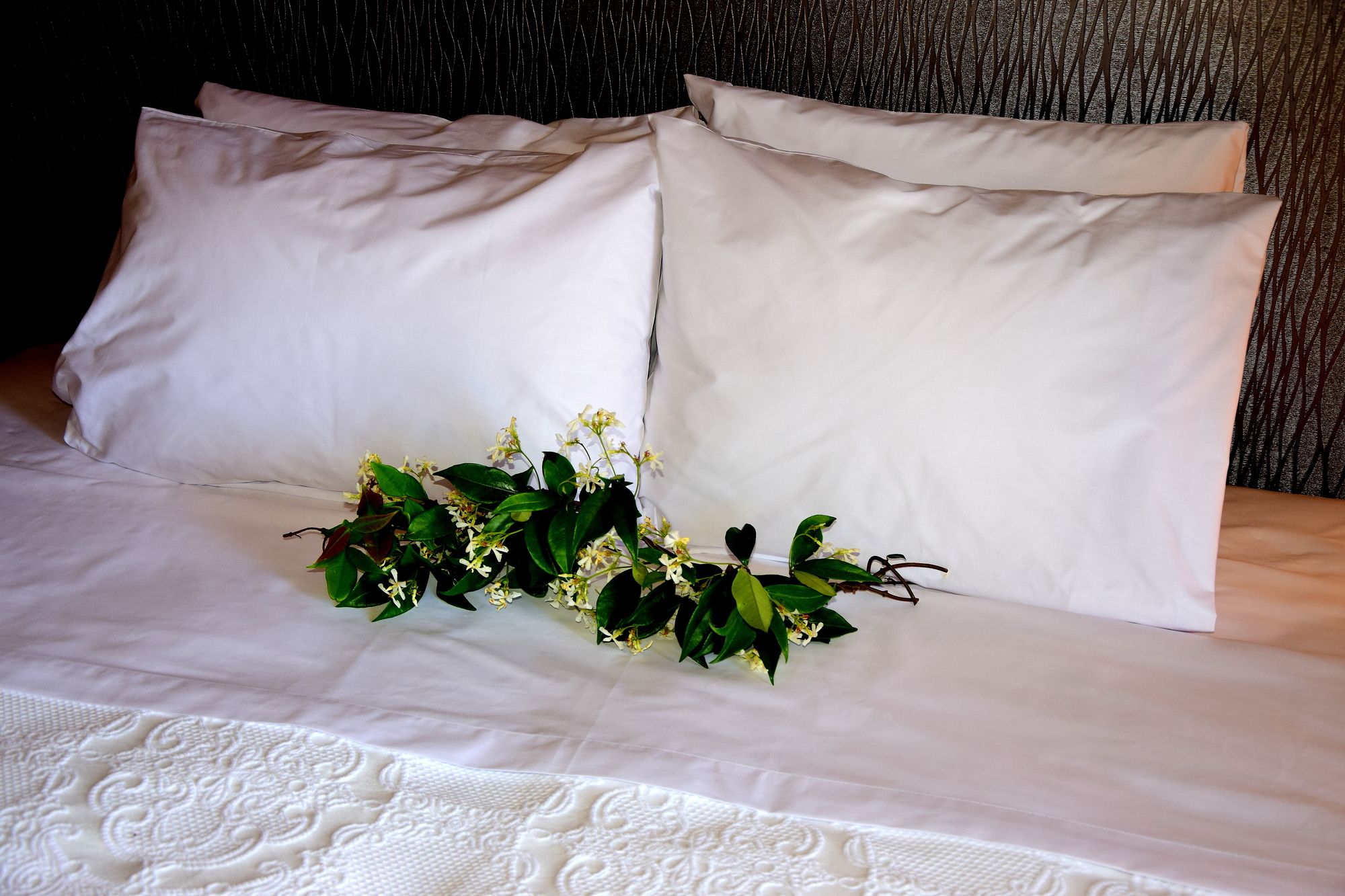 Фото Four Seasons Villas