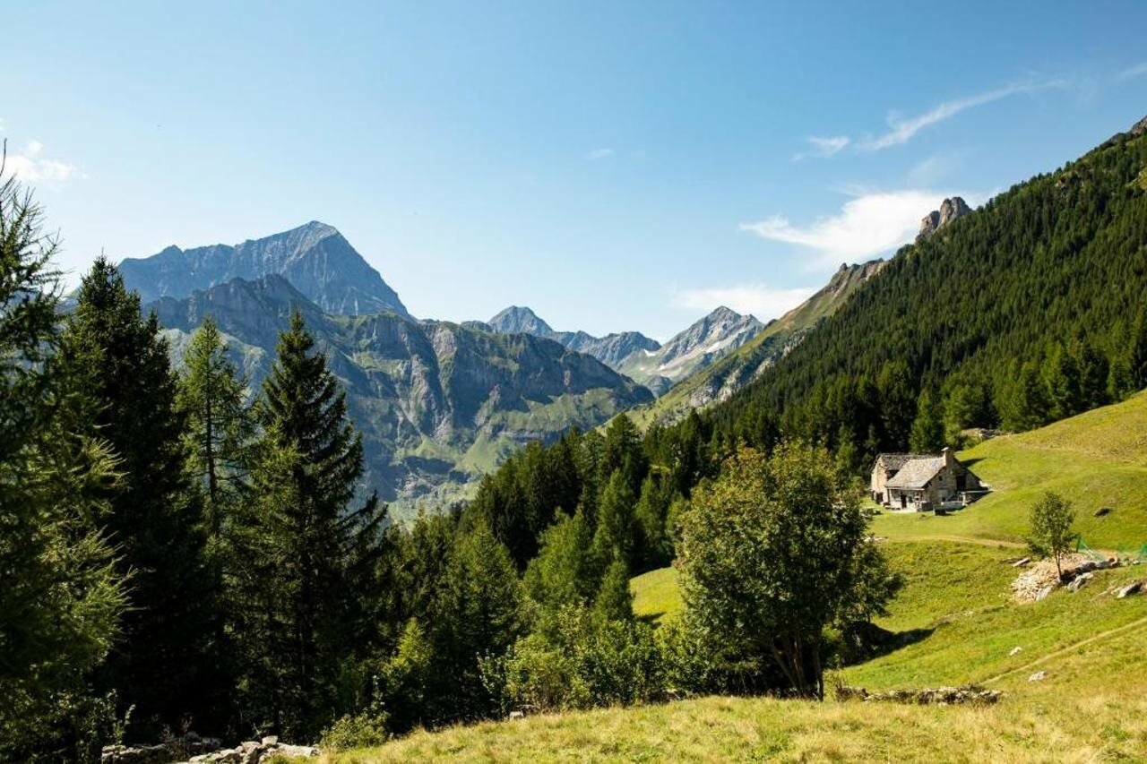 Фото Hotel La Vetta