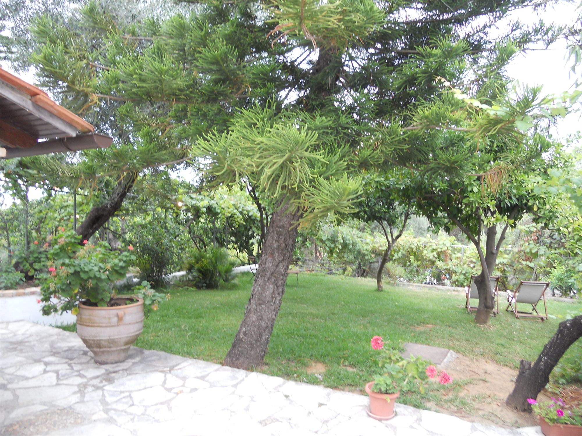 Фото Gina Studios