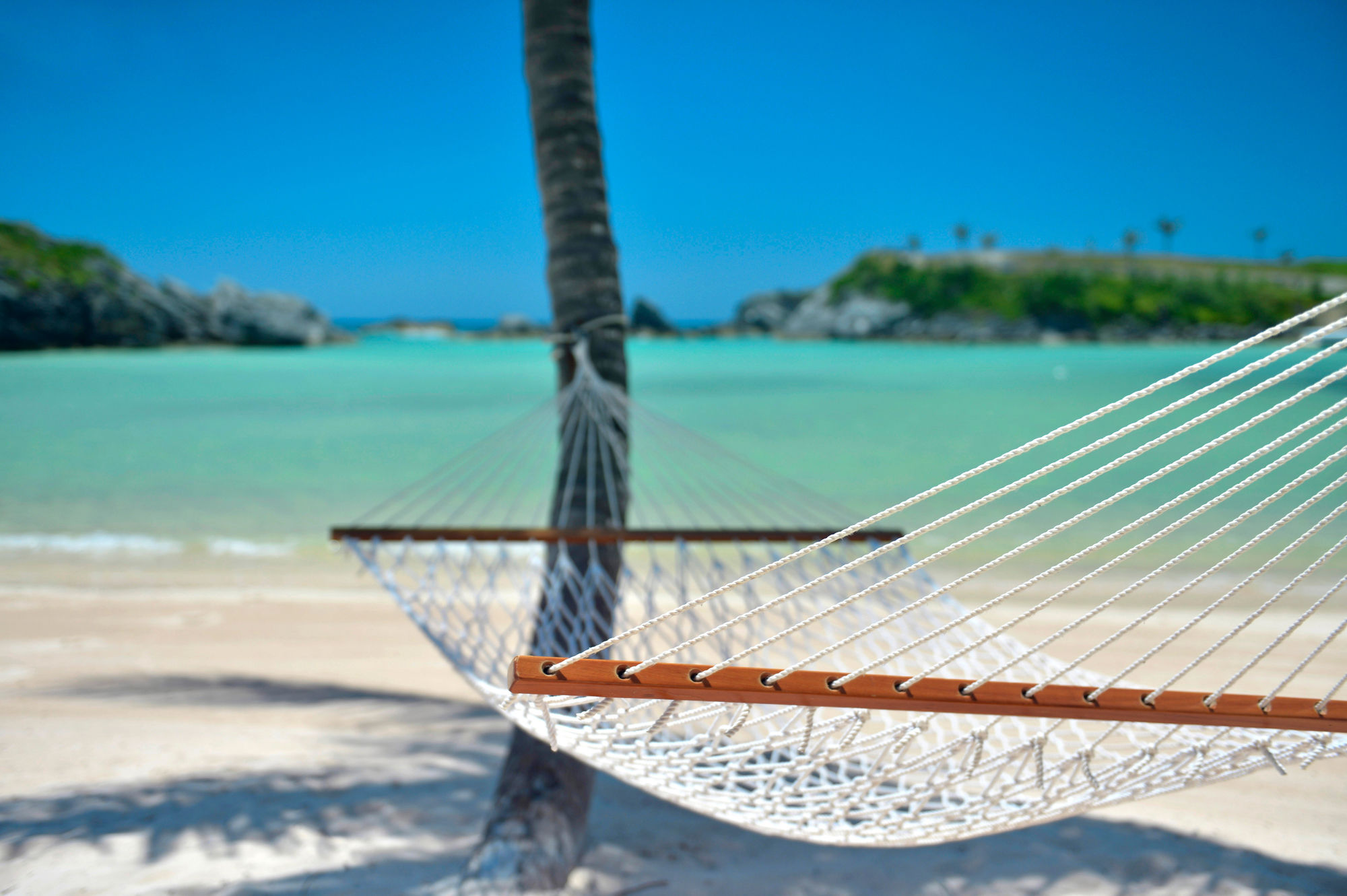 Фото Hamilton Princess & Beach Club A Fairmont Managed Hotel