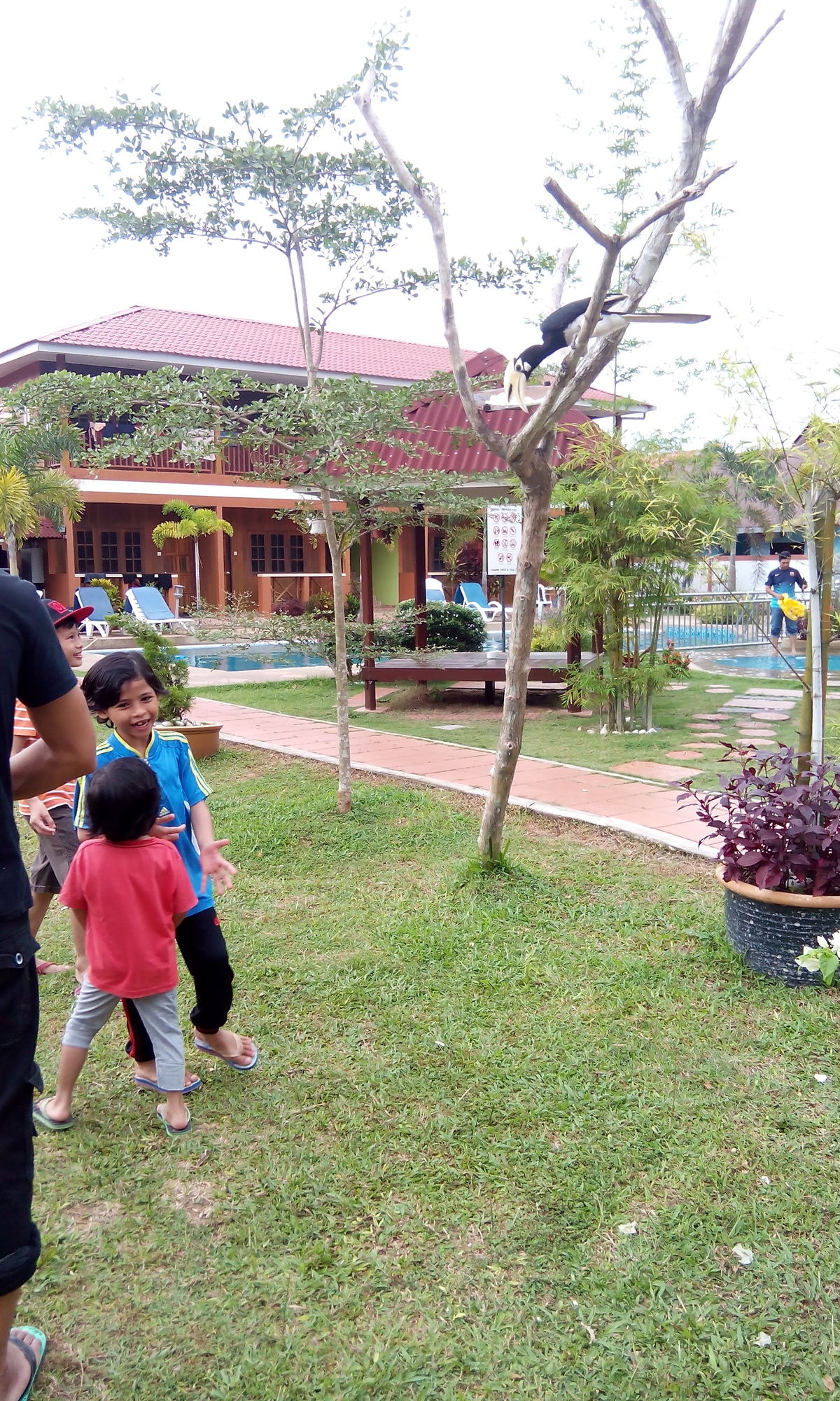 Фото Purnama Beach Resort