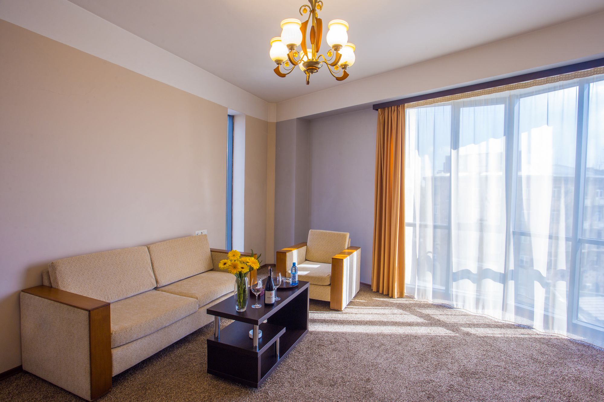 Фото Ani Central Inn