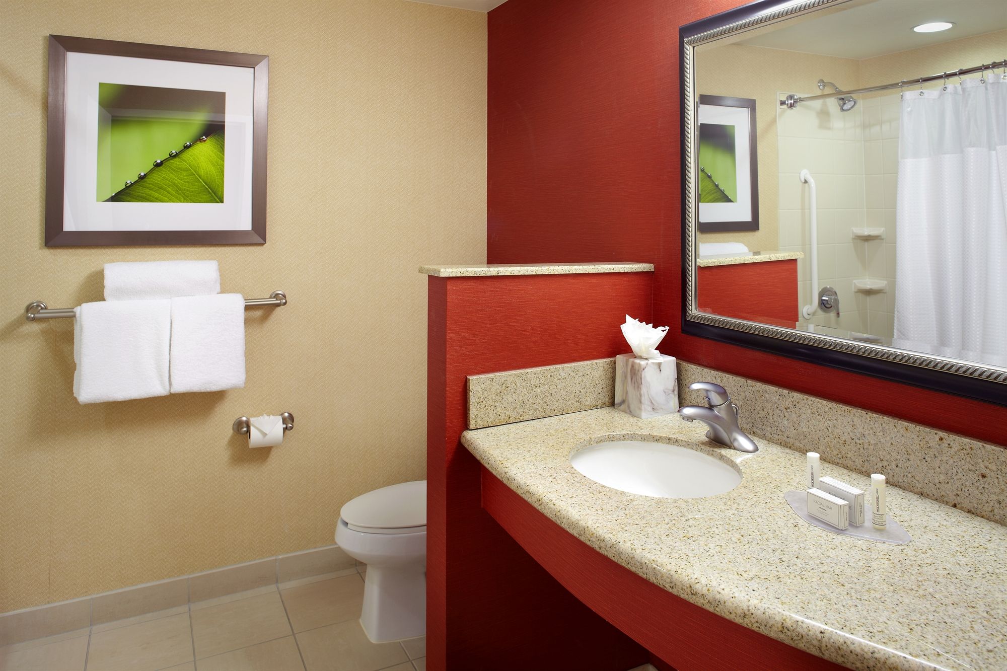 Фото Courtyard by Marriott Tampa Oldsmar