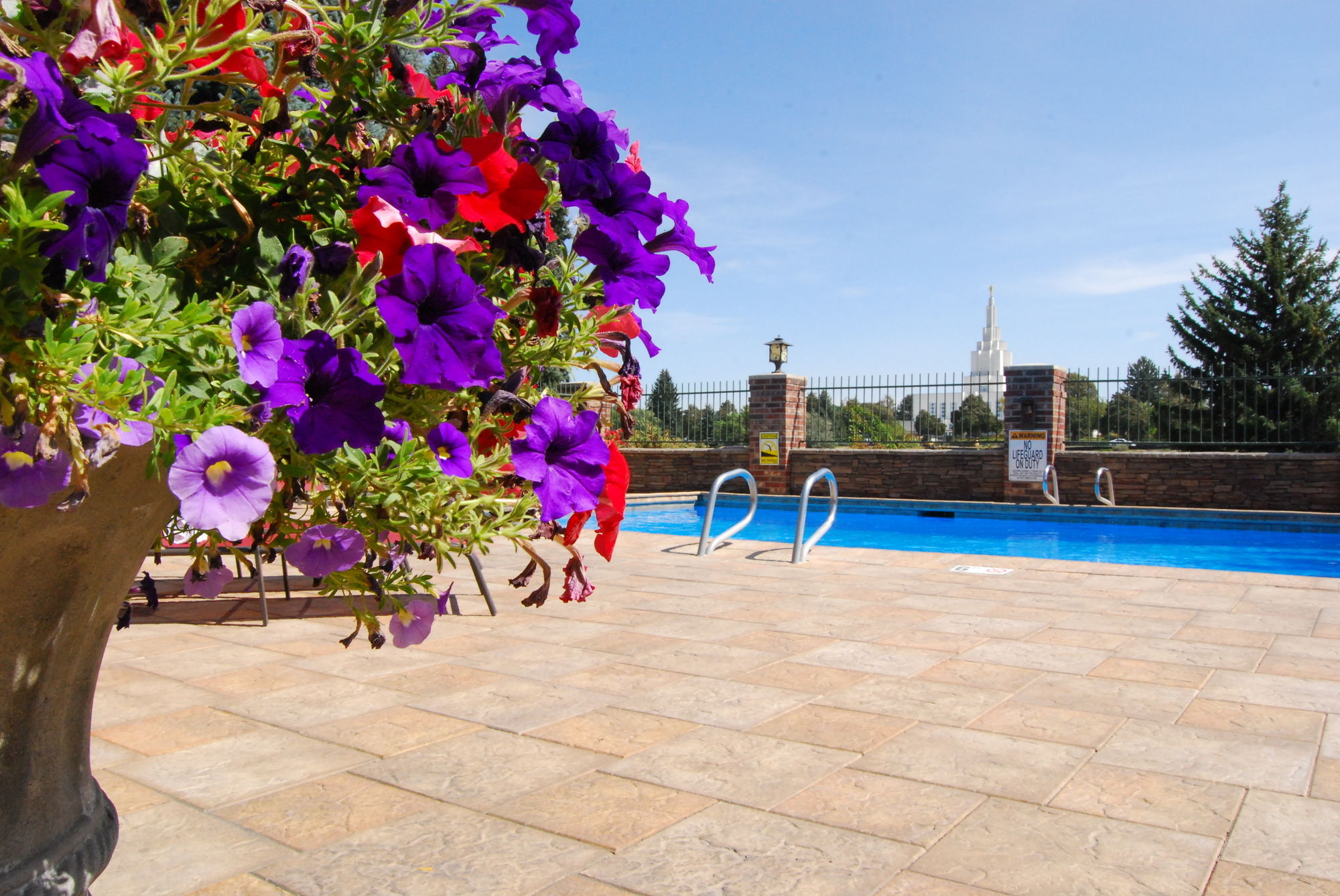 Фото Best Western Driftwood Inn