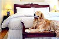 Фото Palm Beach Historic Inn