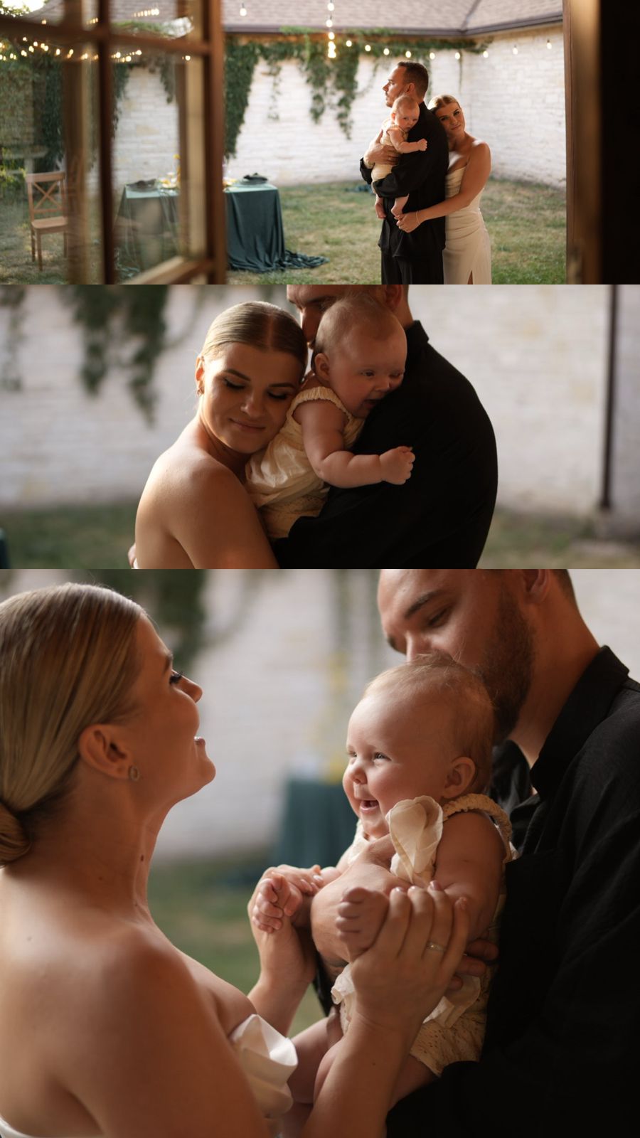 Фото Мальвы