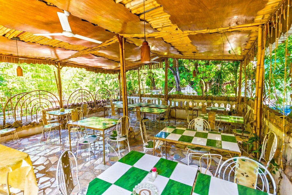 Фото Pacot Breeze