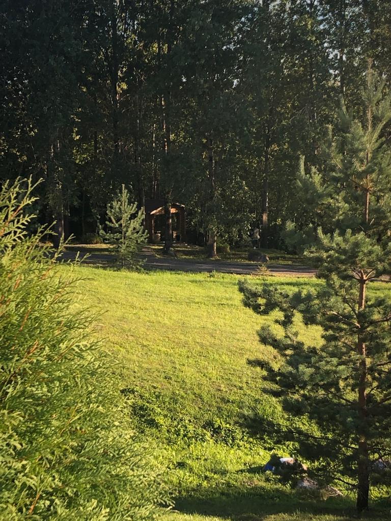 Фото Лесная гавань