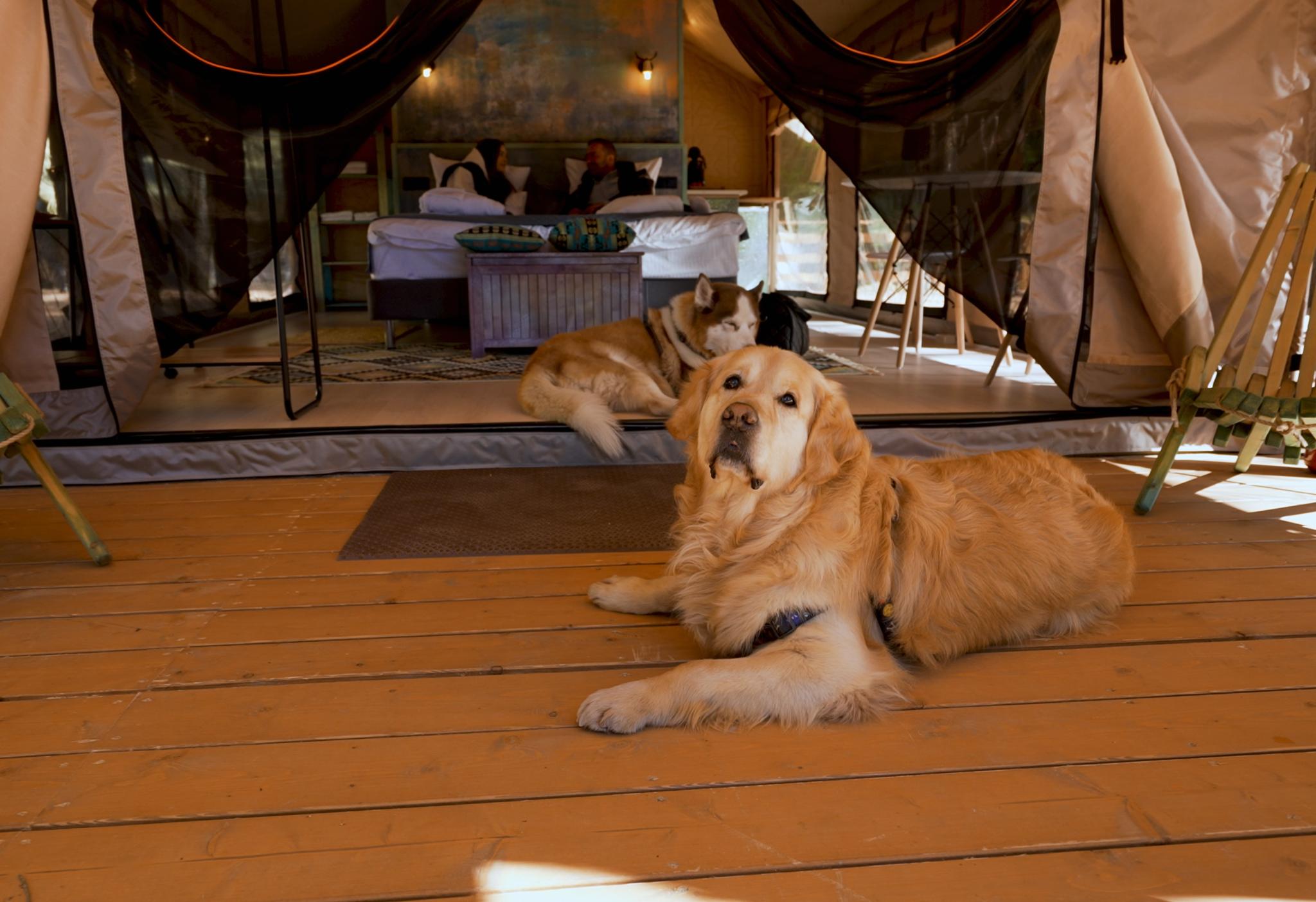 Фото Террасы