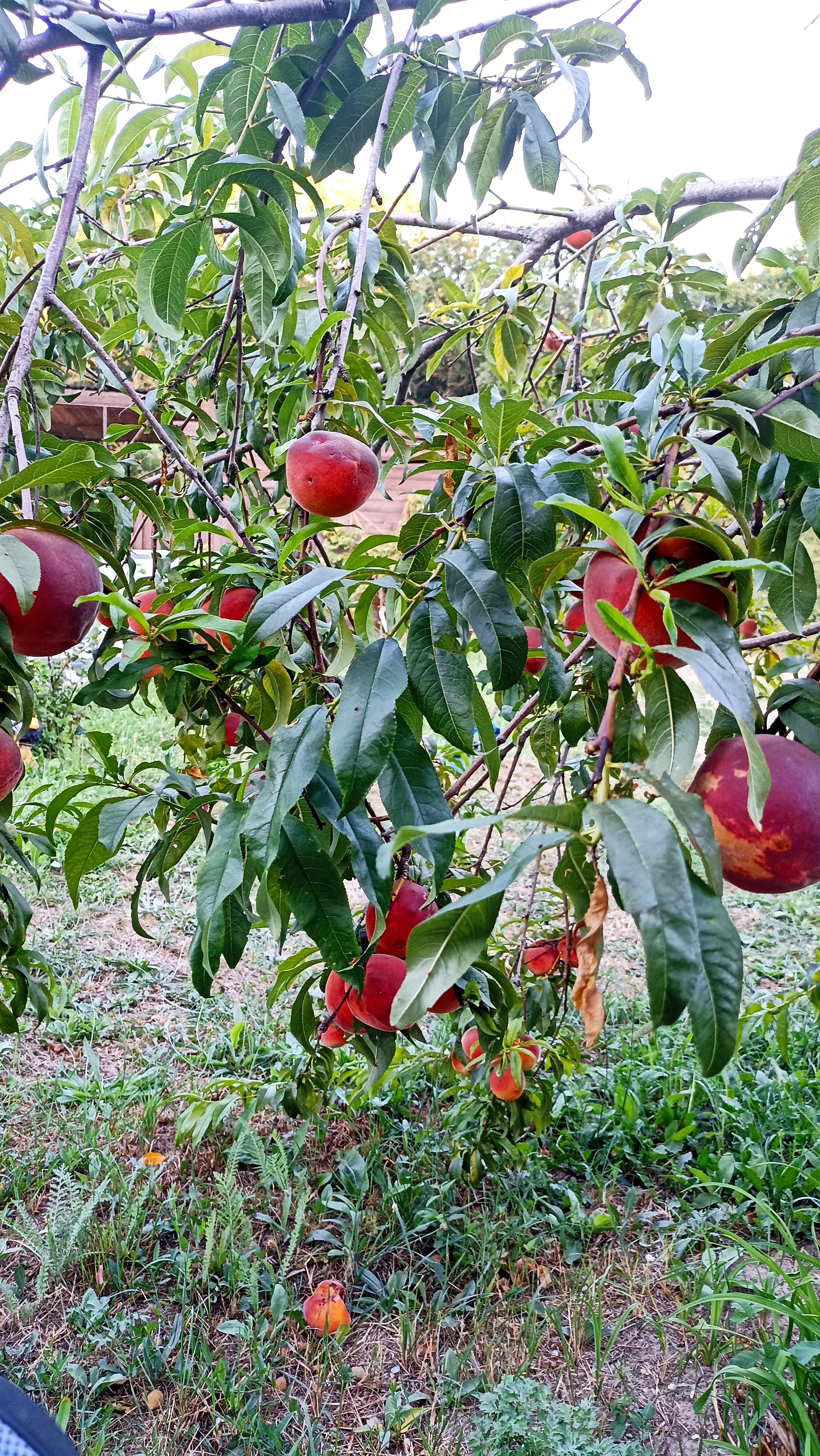 Фото 6 Континентов