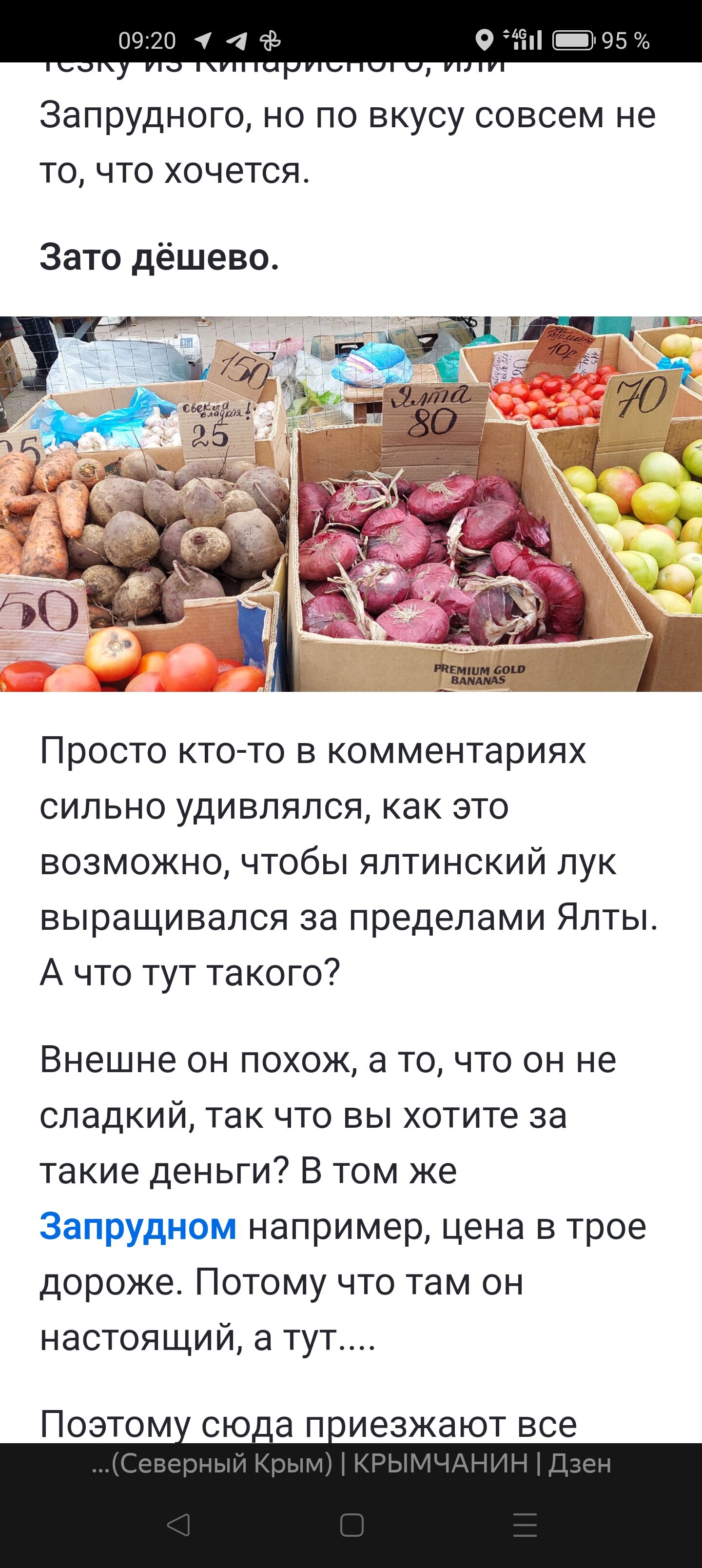 Фото Сафина