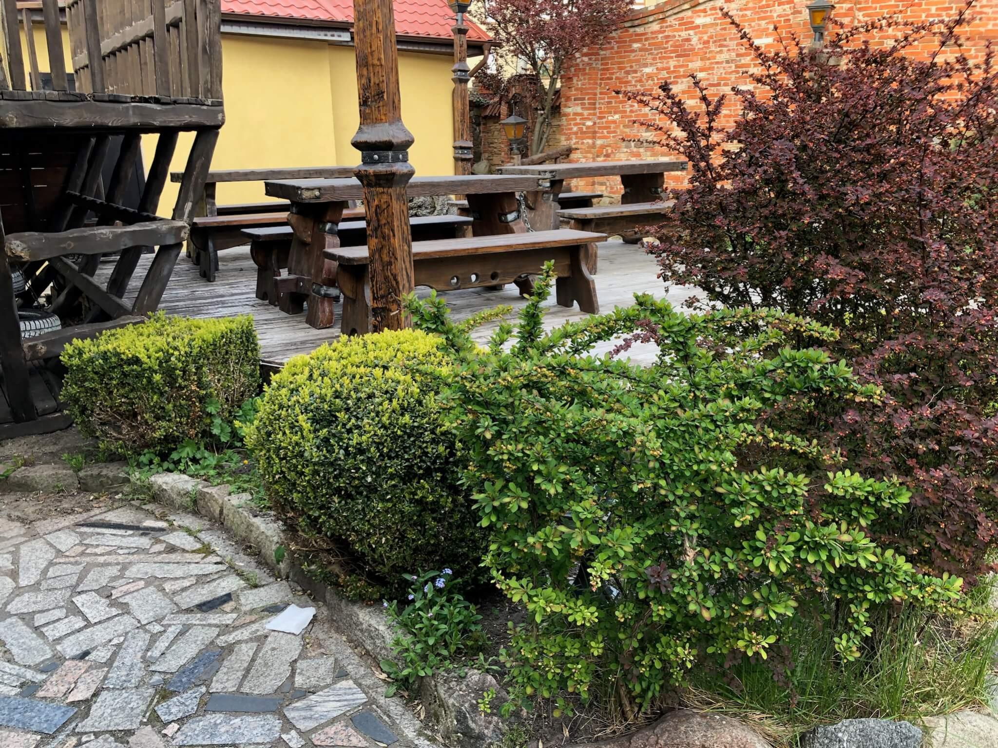 Фото Шкипер