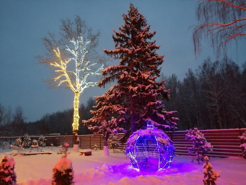 Фото Астра Парк отель