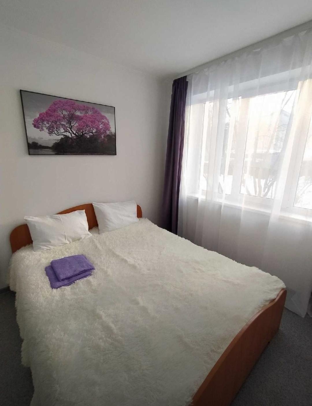 Фото Соната