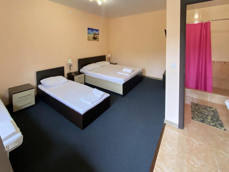 Фото Колибри