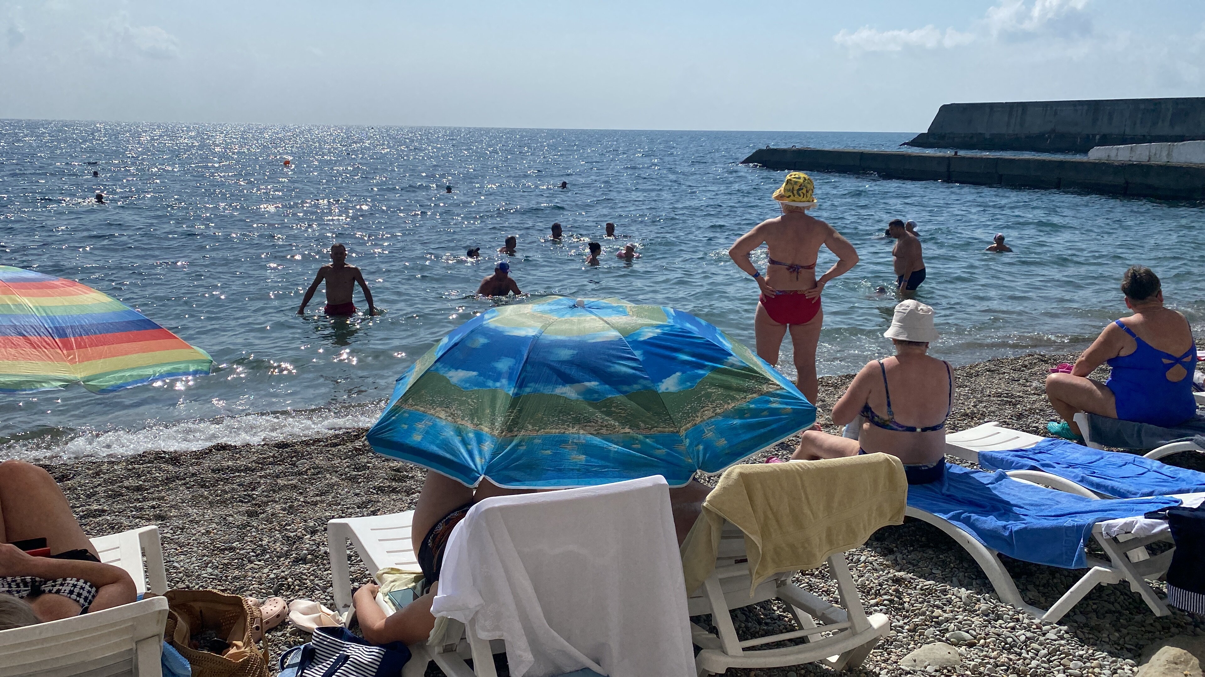 Фото Крымский гость