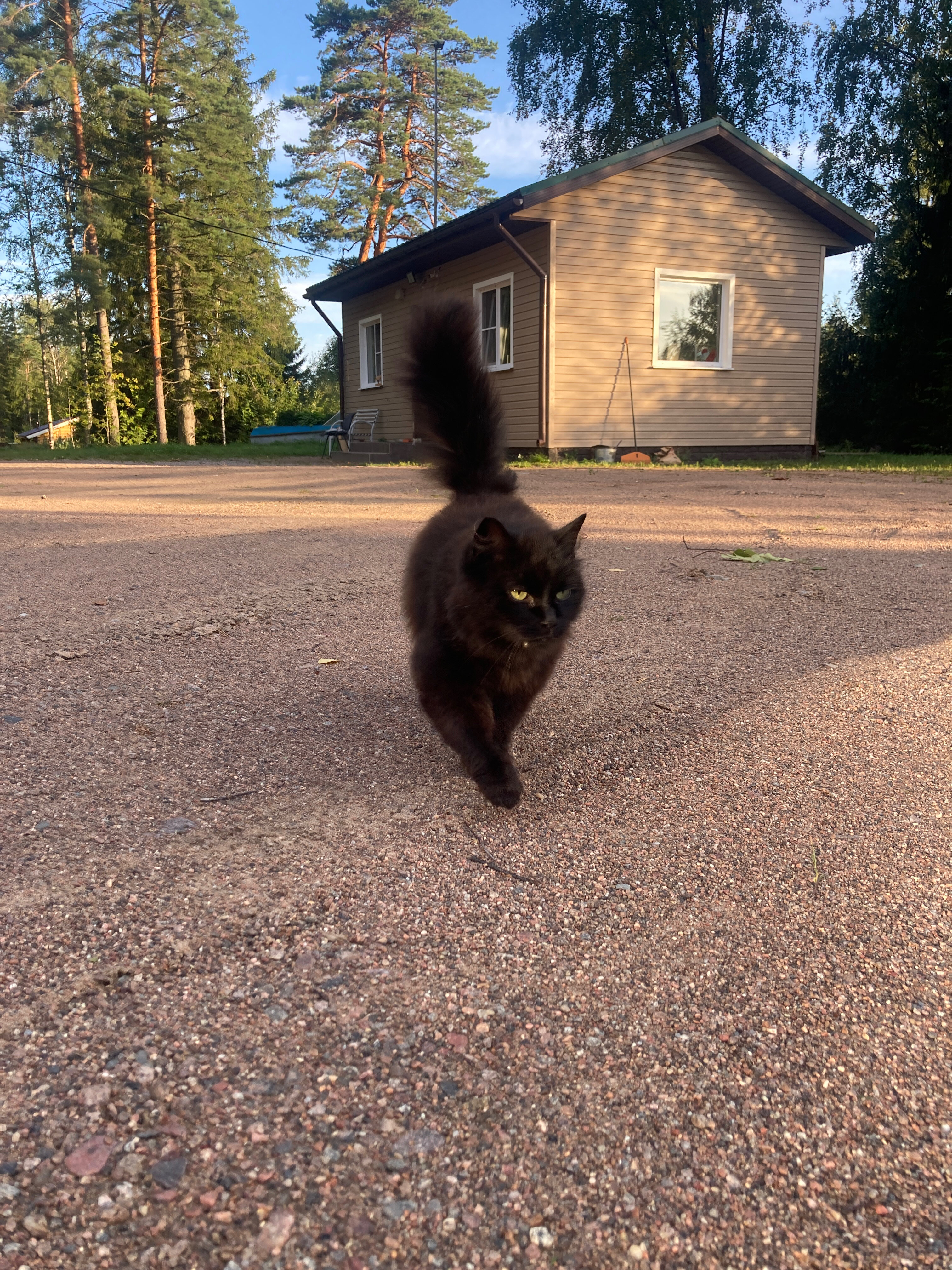 Фото Заречье