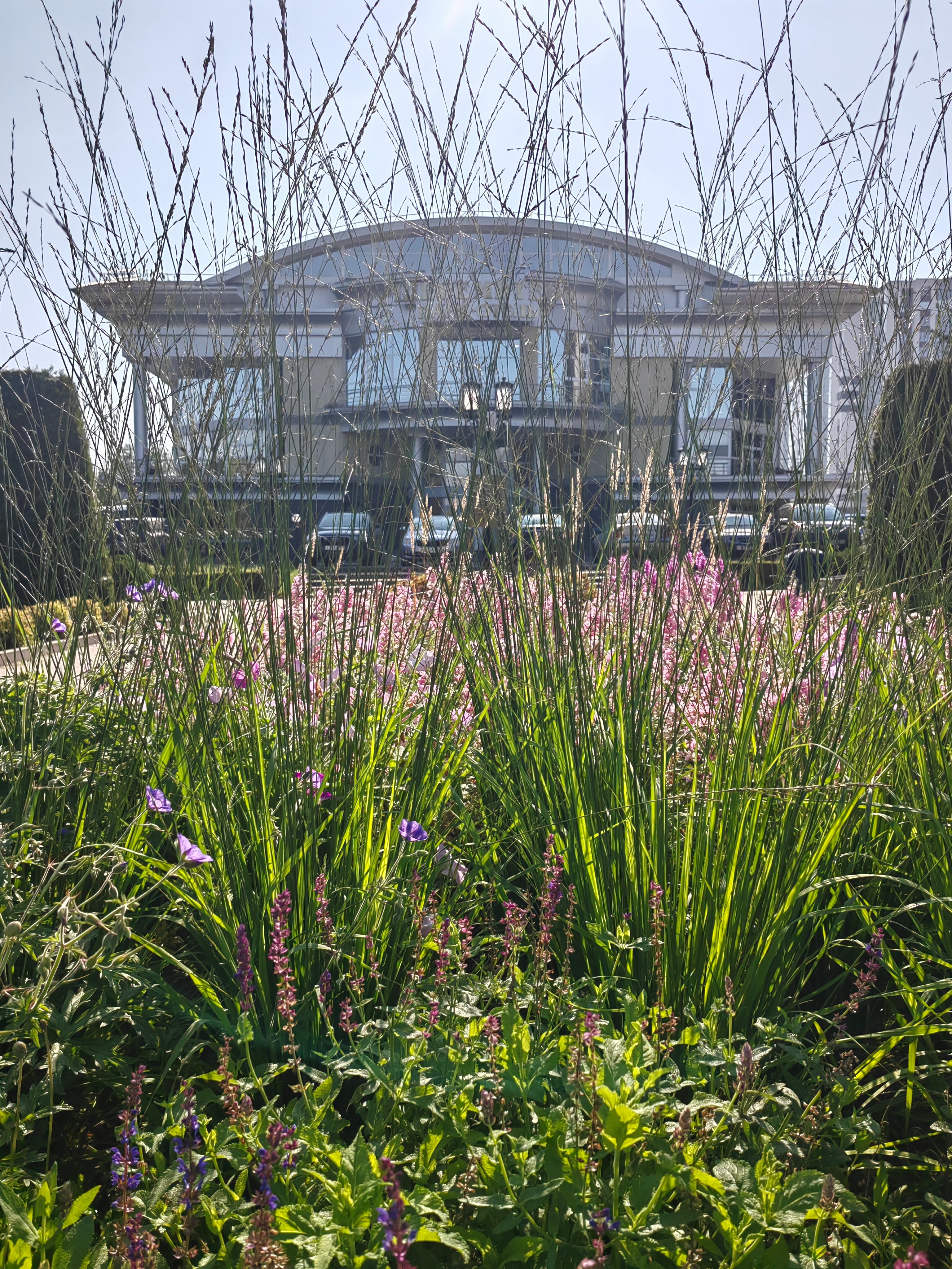 Фото Шереметев Парк-Отель