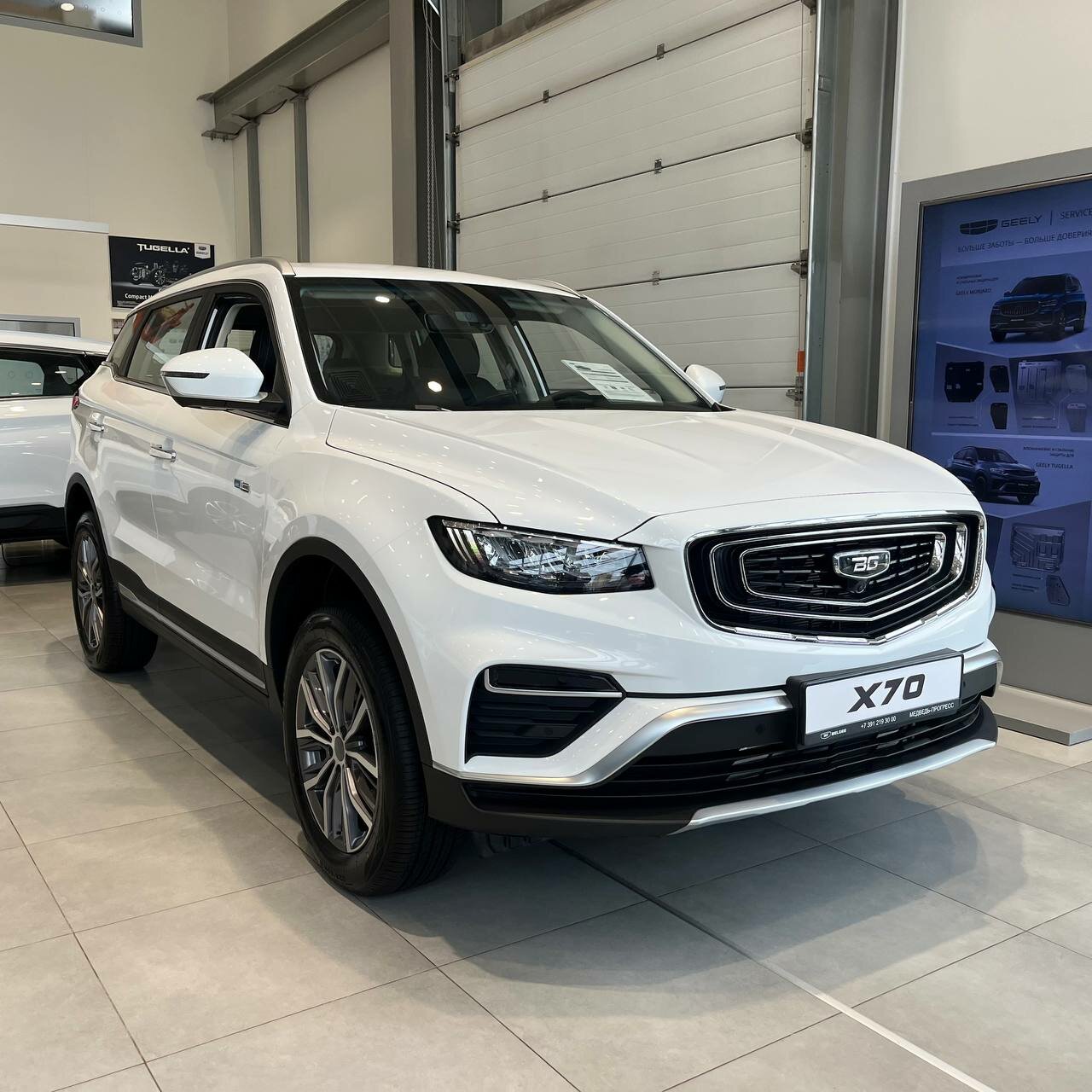 photo Belgee Медведь Альянс