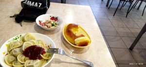Телец (Orenburg Region, Novosergiyevskiy rayon, Barabanovskiy selsovet), cafe