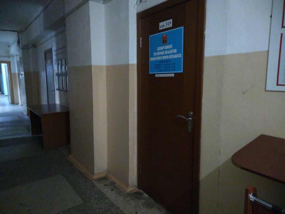 Government ministries, services Департамент по охране объектов животного мира Кузбасса, Novokuznetsk, photo