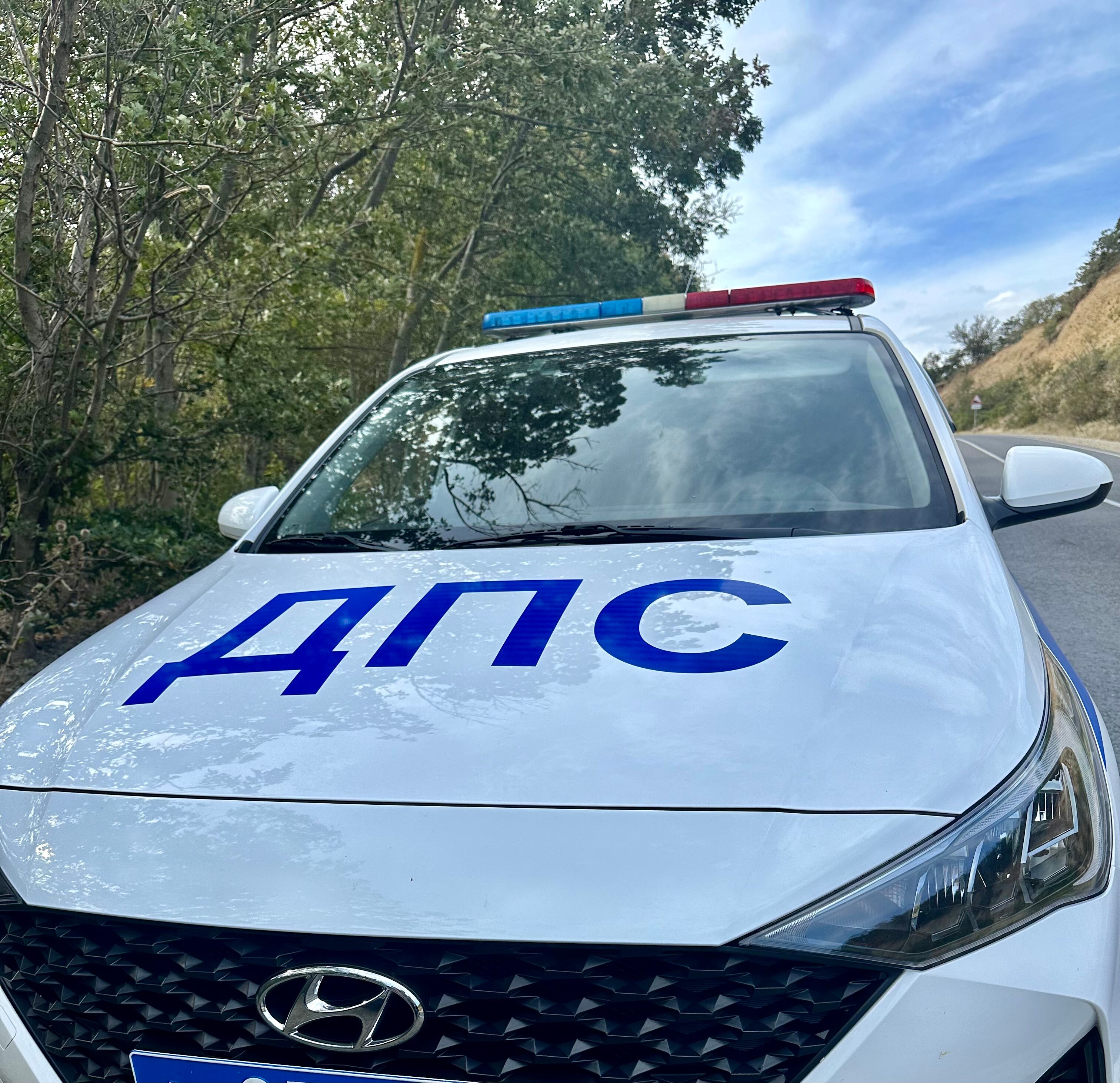 Фото Лесной дворик