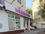 Wildberries (Leninskiy Avenue, 79), point of delivery