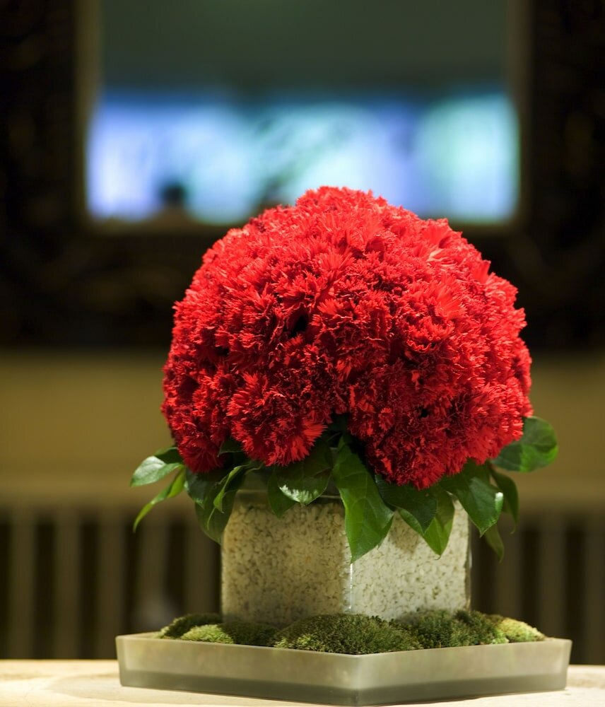 Фото Hotel d'Angleterre Geneva