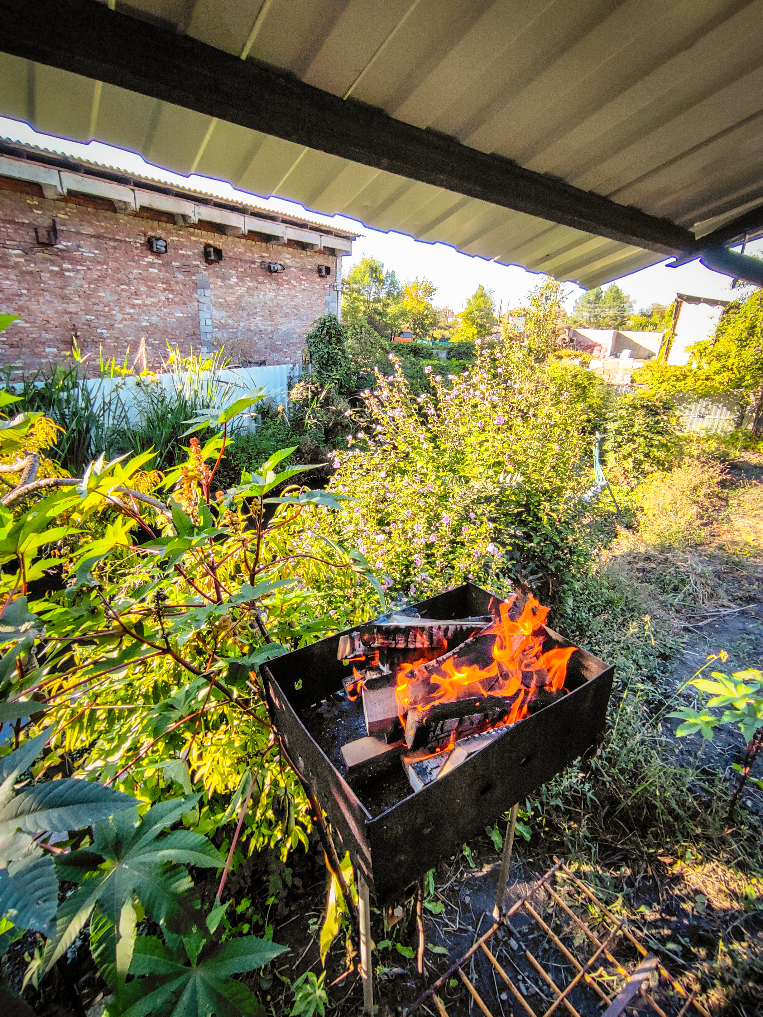 Фото Горная Роза