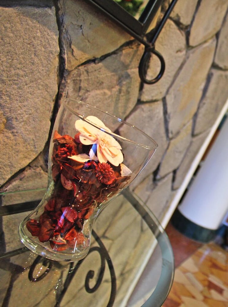 Фото Hotel New Primula