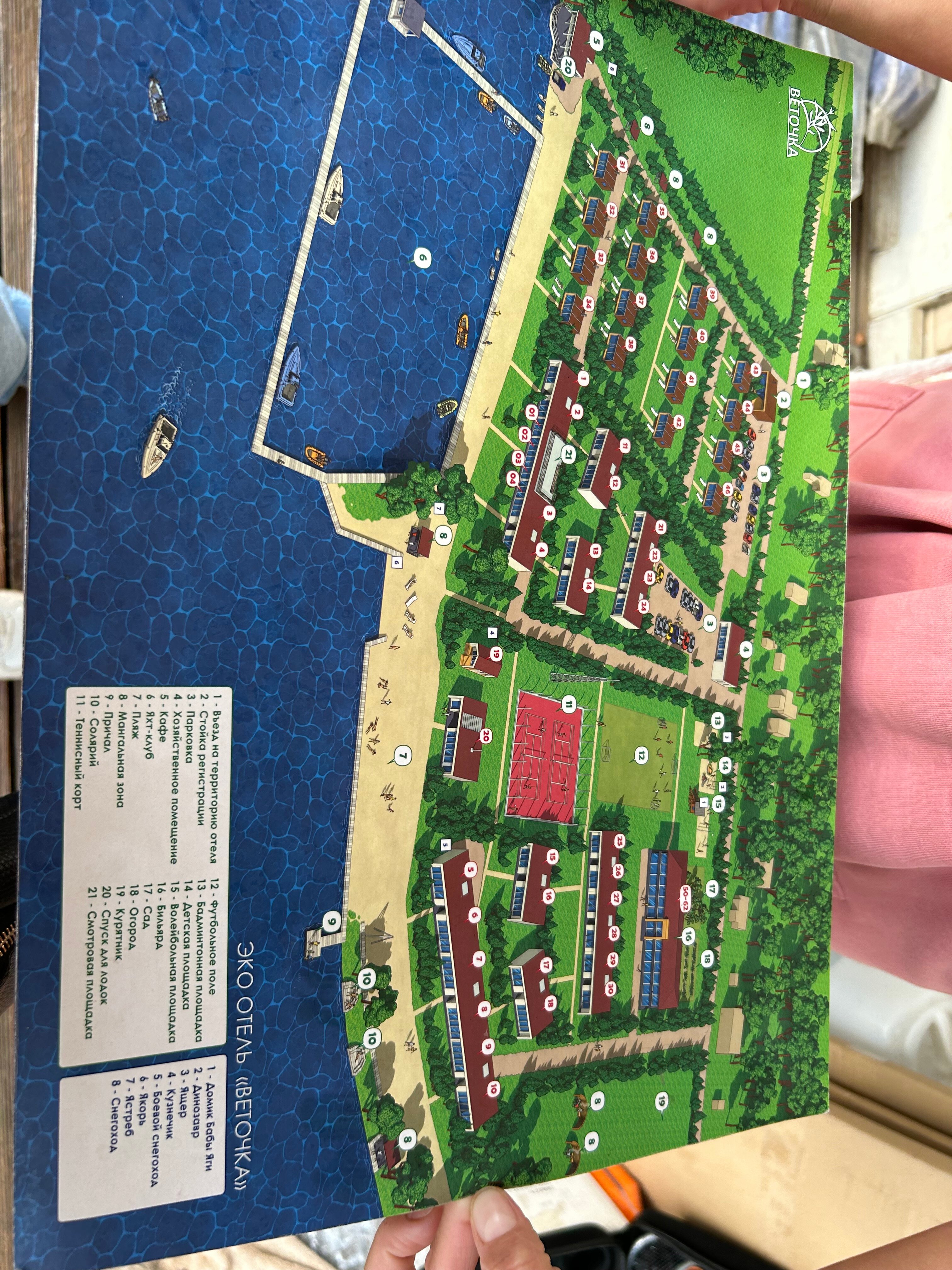 Фото Веточка