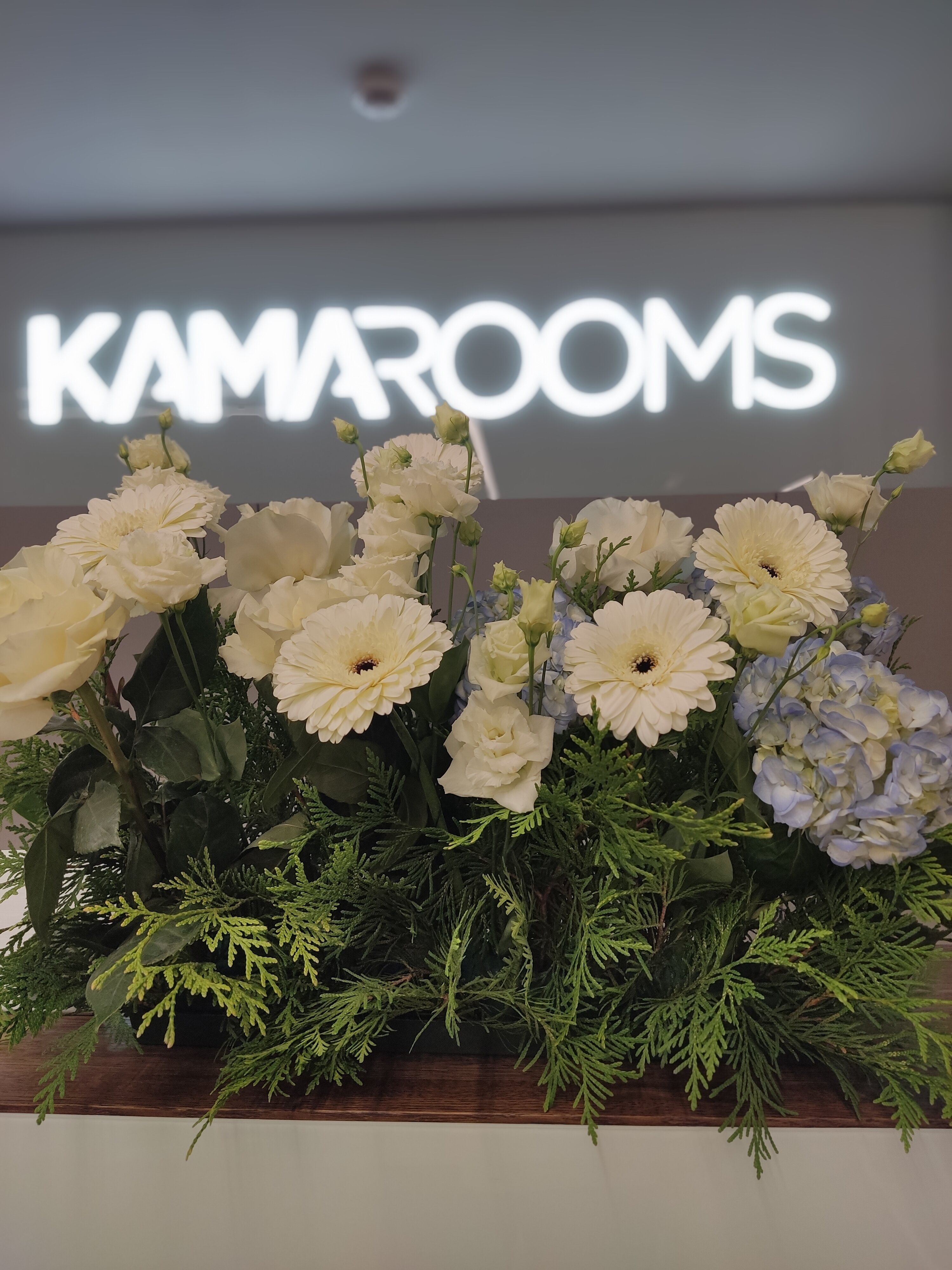 Фото Kamarooms Business Hotel & SPA