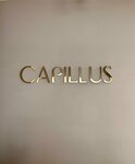 Capillus (Klyuchevskaya ulitsa, 4В), beauty salon
