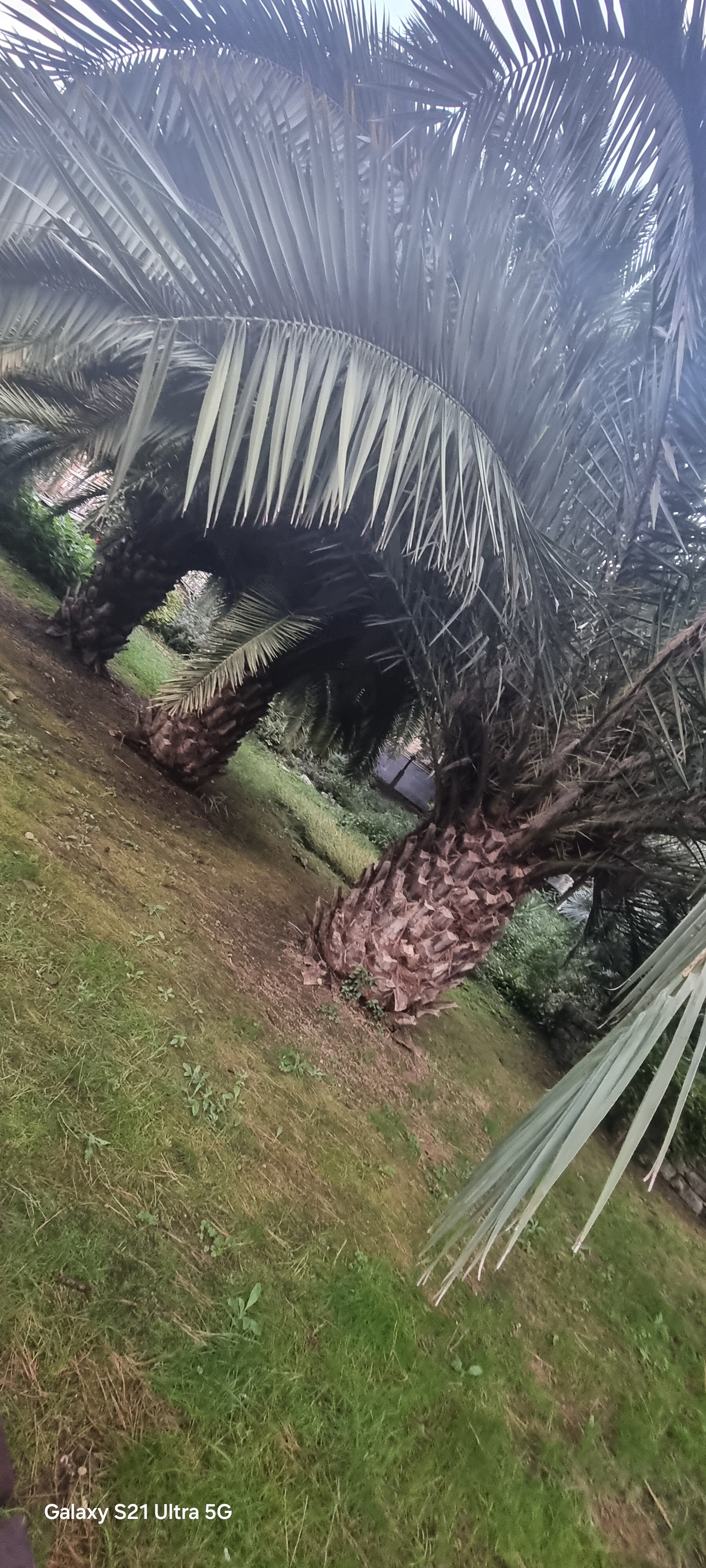 Фото Золотая миля