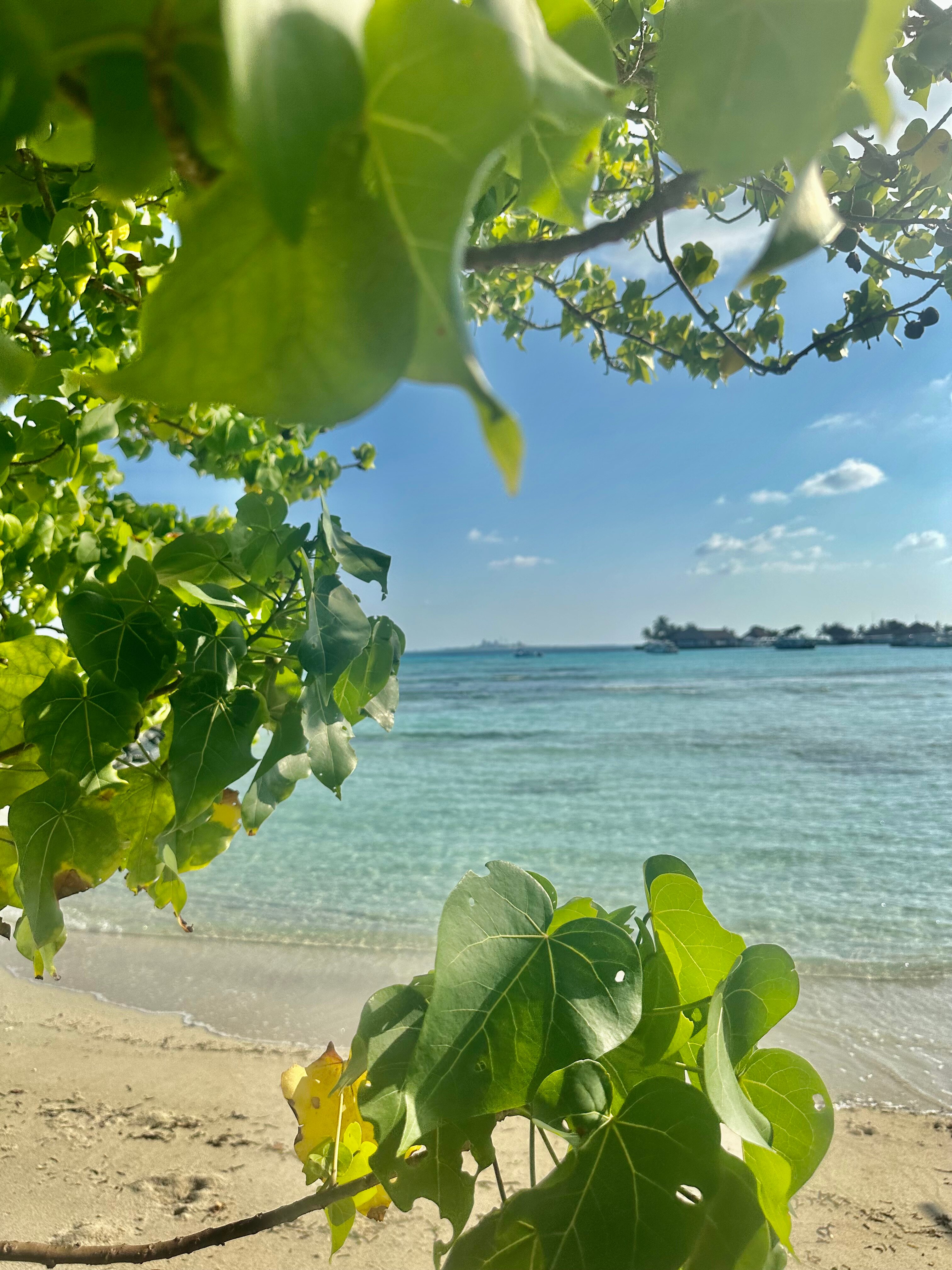 Фото Ocean Retreat & SPA