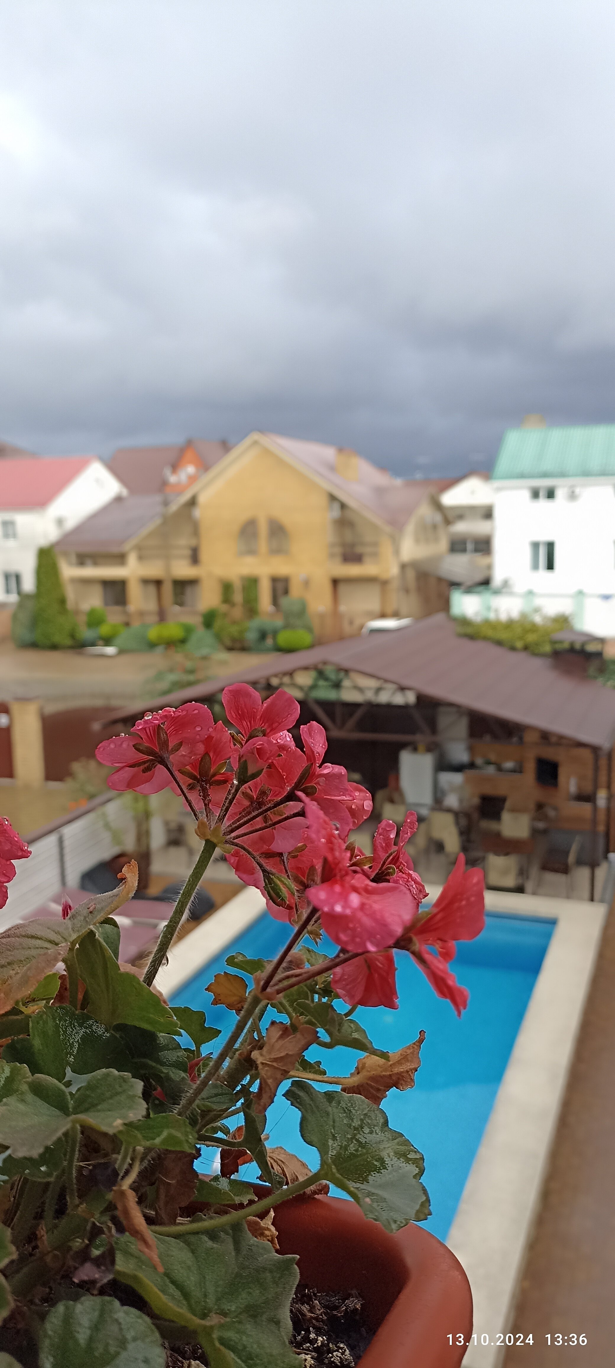 Фото Стефания