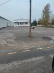 Триумф Норд (Vysokovsk, Krasnoarmeyskaya ulitsa, 15Б), christmas trees and christmas decorations
