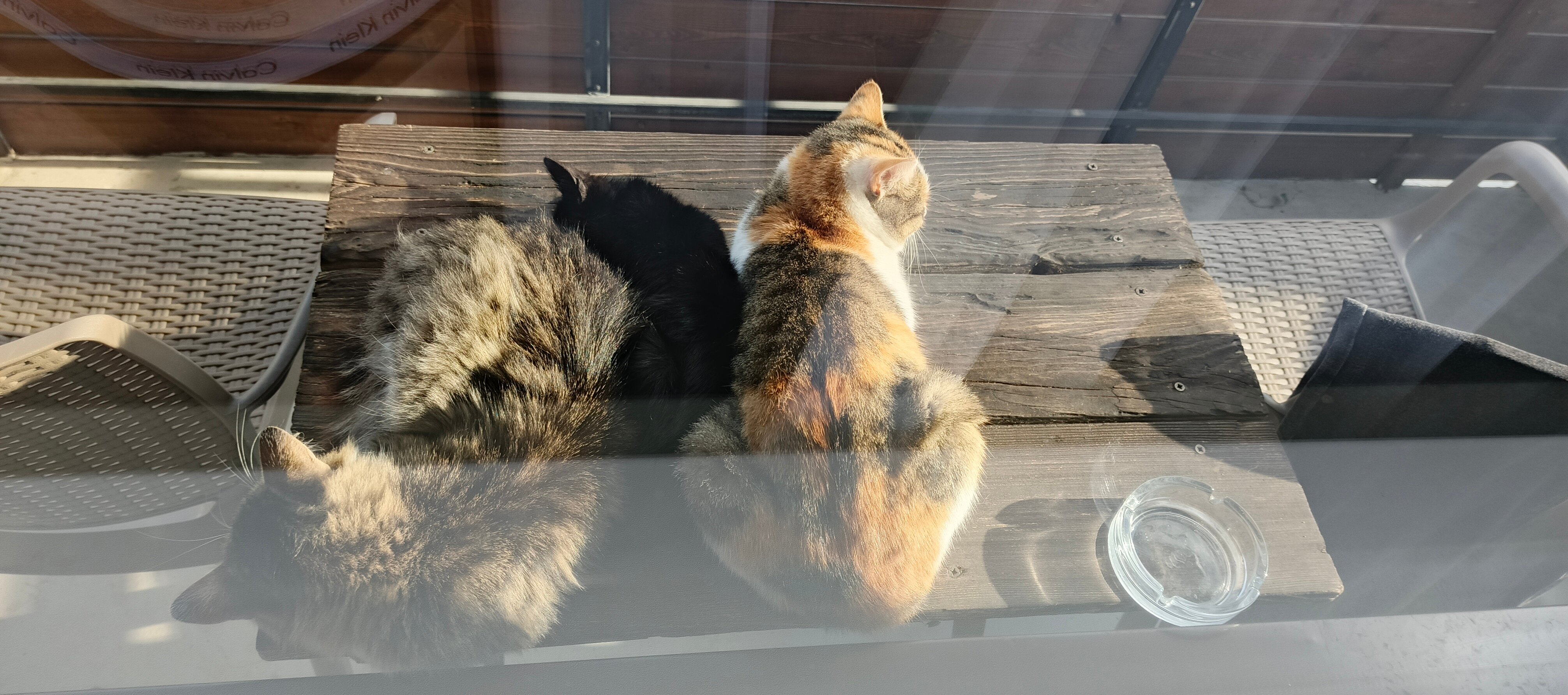 Фото Вершина