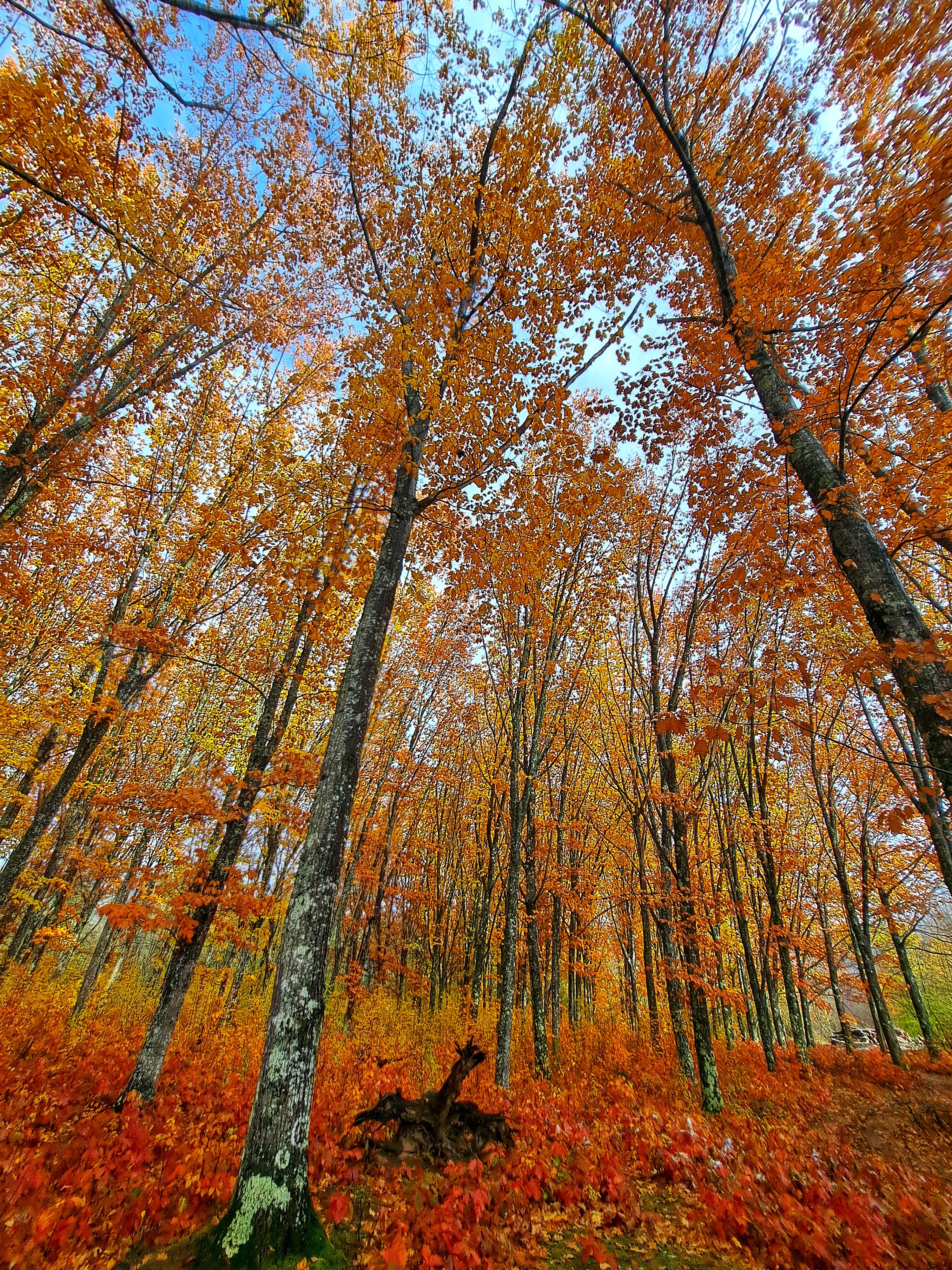 Фото WoW Горы