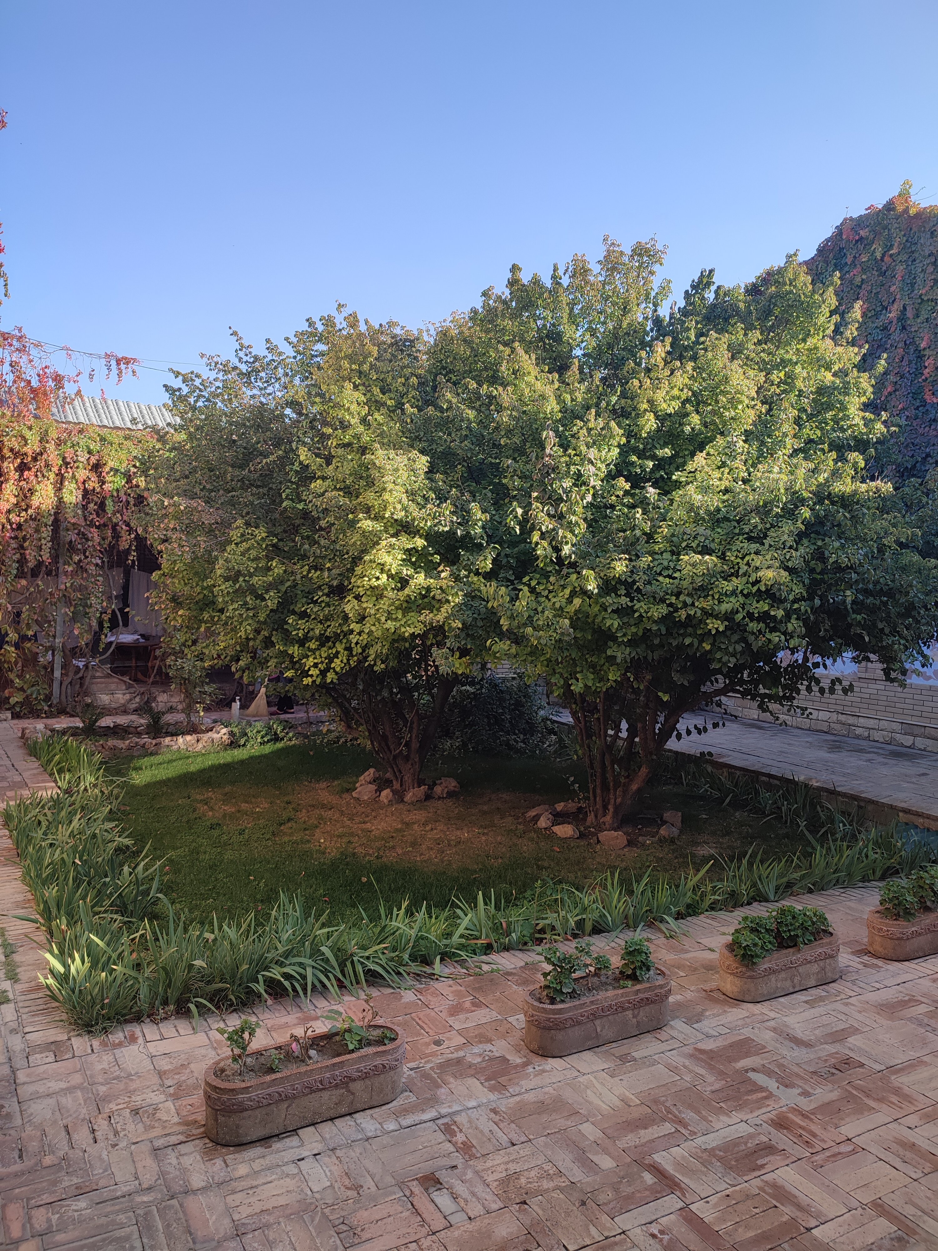 Фото Caravan Serail Hotel