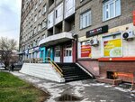 Alpha Consult (Dimitrova Avenue, 7), registration and liquidation of enterprises