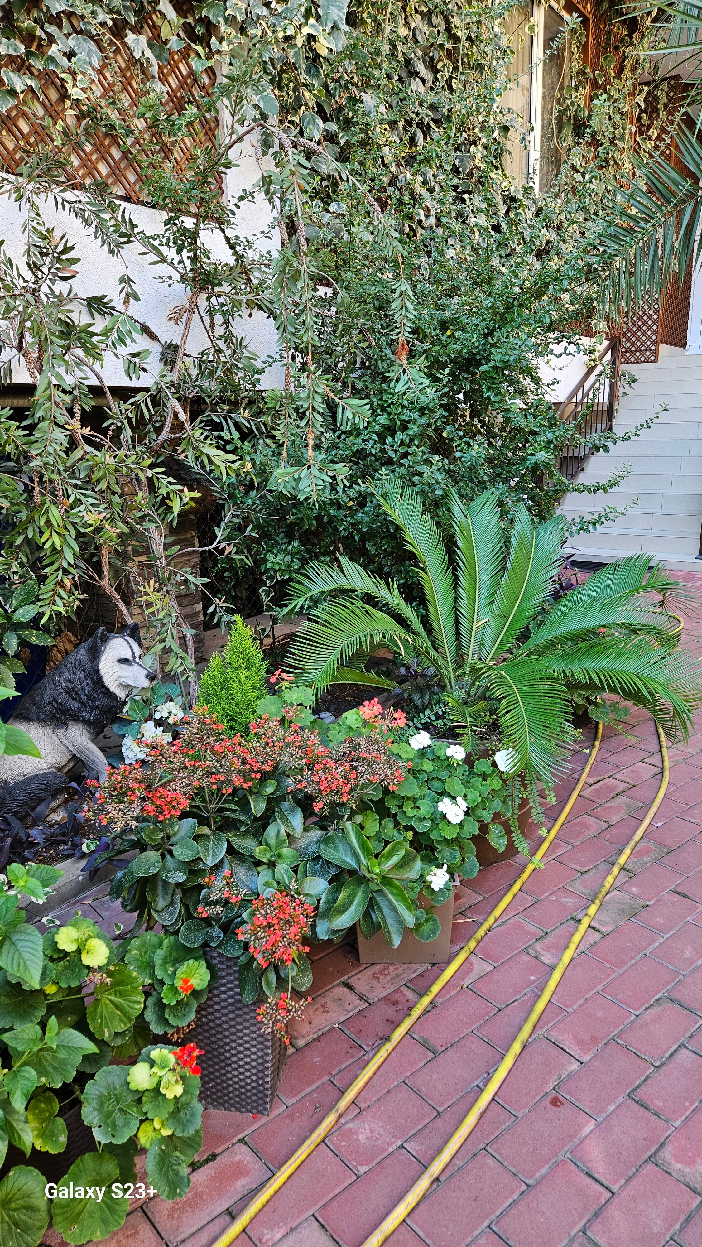 Фото Апартаменты на Тюльпанов