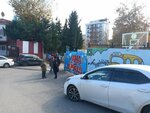 Mehmet Hilmi Altay Primary School (Istanbul, Kartal, Karliktepe Neighborhood, Zeytinlikevler Street, 13), primary school